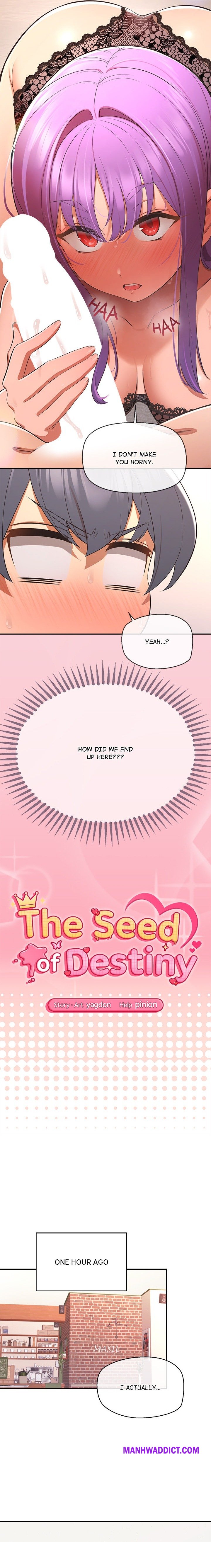 The Seed of Destiny - Chapter 14 Page 2